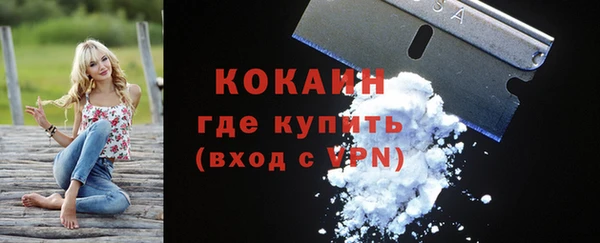 шишки Козловка