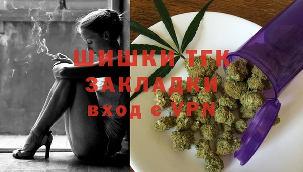 шишки Козловка