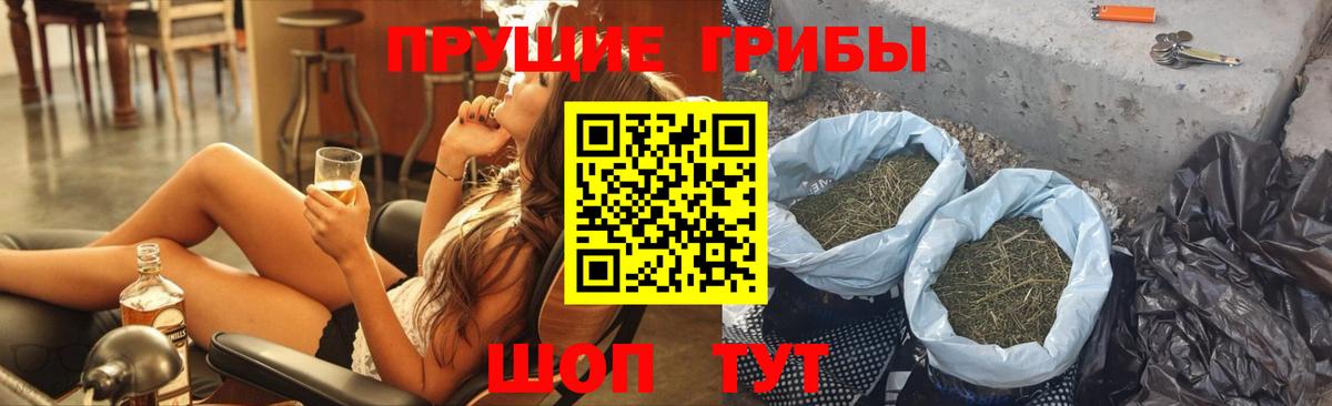 Псилоцибиновые грибы мухоморы Липецк