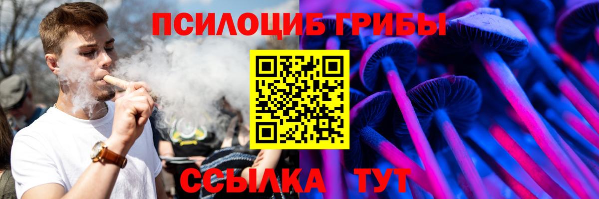Галлюциногенные грибы MAGIC MUSHROOMS  Псилоцибиновые грибы мицелий  Вход с VPN  Липецк 